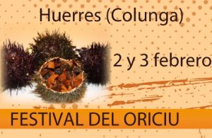 banners-festival-oricio-2013
