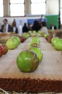 Festival de la manzana