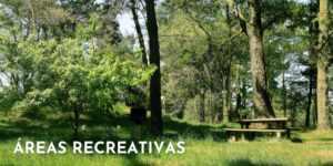 Áreas Recreativas
