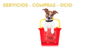 Servicios de tiendas y ocio con mascota en la Comarca de la Sidra, Asturias